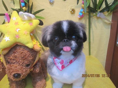 ファイル 7567-2.jpg