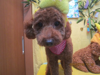 ファイル 7568-2.jpg