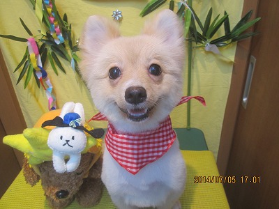 ファイル 7569-2.jpg