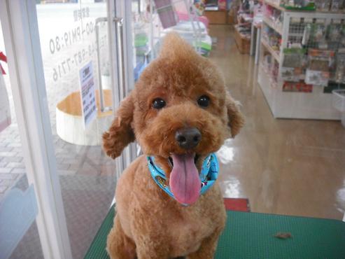 ファイル 757-1.jpg