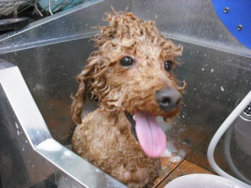 ファイル 757-2.jpg