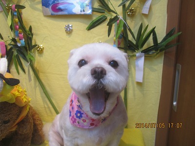 ファイル 7570-2.jpg