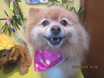 ファイル 7571-2.jpg