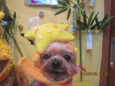 ファイル 7572-1.jpg