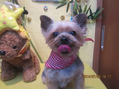 ファイル 7572-2.jpg