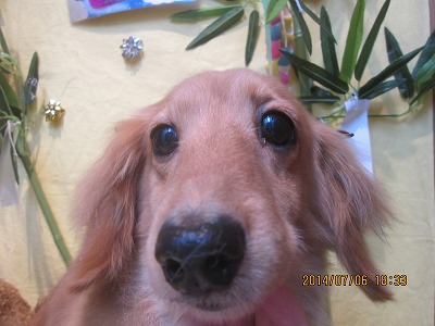 ファイル 7573-1.jpg