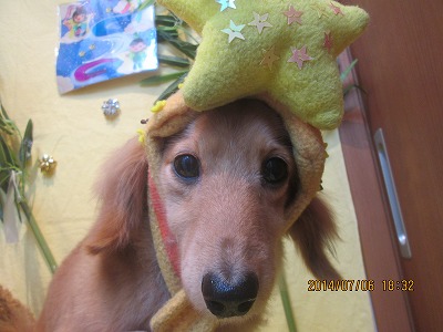 ファイル 7573-2.jpg