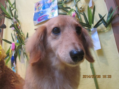 ファイル 7573-3.jpg