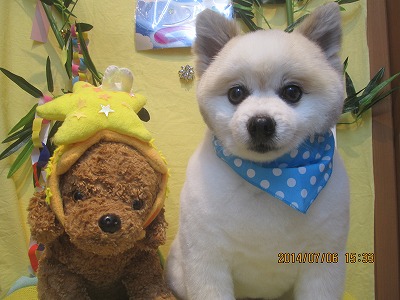 ファイル 7574-2.jpg