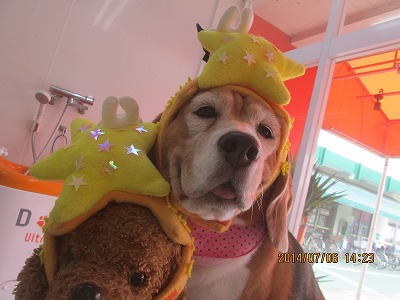 ファイル 7575-2.jpg