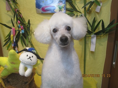 ファイル 7576-2.jpg