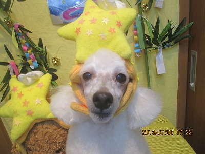 ファイル 7577-1.jpg