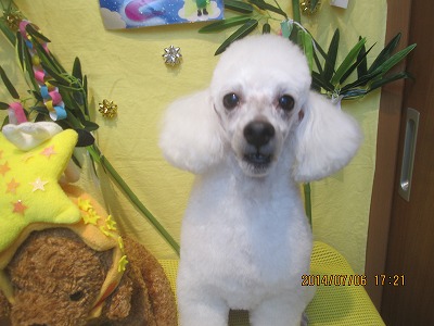 ファイル 7577-2.jpg