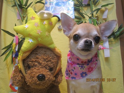 ファイル 7578-1.jpg