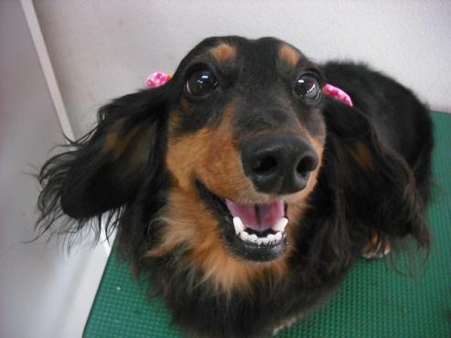 ファイル 758-1.jpg