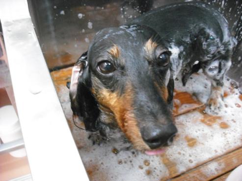 ファイル 758-2.jpg