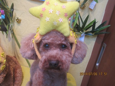 ファイル 7581-1.jpg