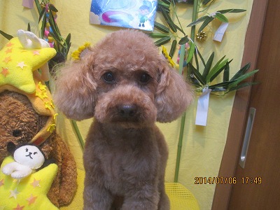 ファイル 7581-2.jpg