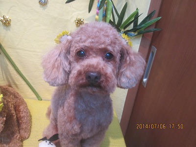 ファイル 7581-3.jpg