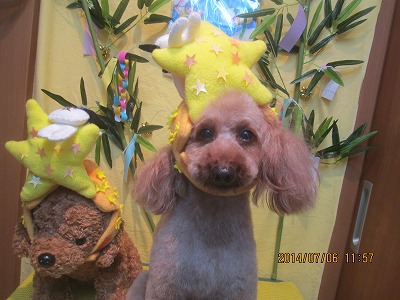 ファイル 7582-1.jpg