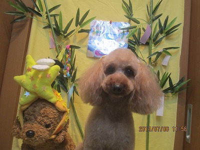 ファイル 7582-2.jpg