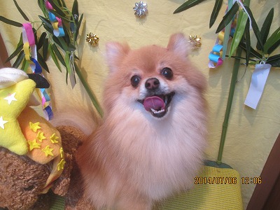 ファイル 7583-2.jpg