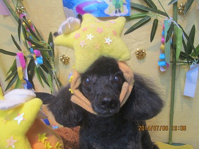 ファイル 7584-1.jpg