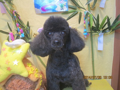 ファイル 7584-2.jpg