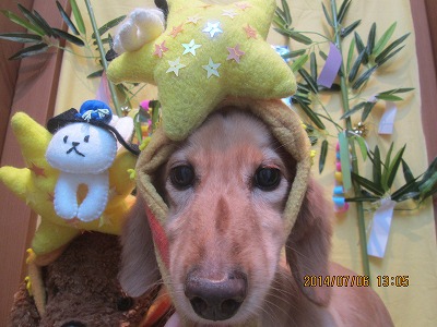 ファイル 7585-1.jpg