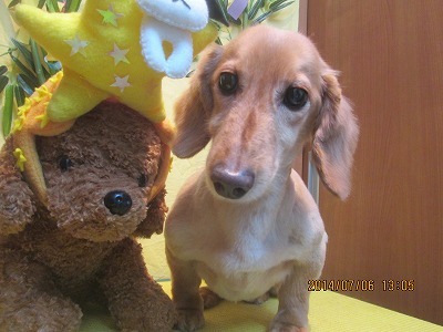 ファイル 7585-2.jpg