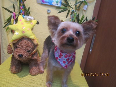 ファイル 7586-1.jpg