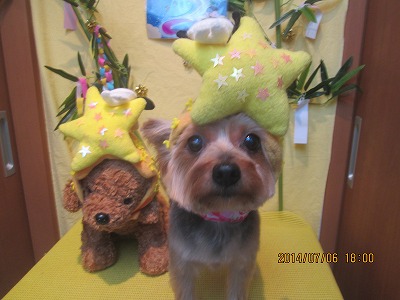 ファイル 7586-2.jpg