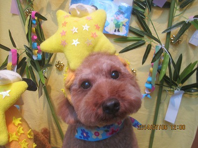 ファイル 7587-1.jpg