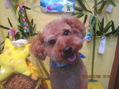 ファイル 7587-2.jpg