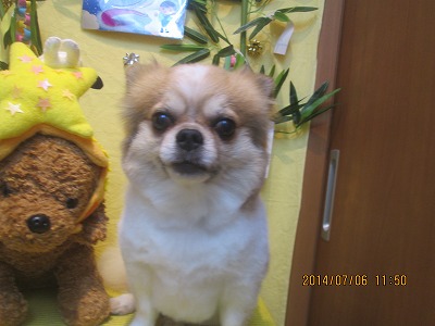 ファイル 7588-2.jpg