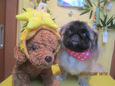 ファイル 7589-2.jpg