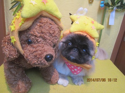 ファイル 7589-3.jpg