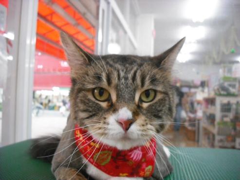 ファイル 759-1.jpg