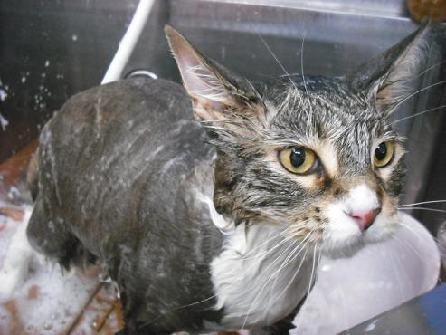 ファイル 759-2.jpg