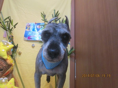 ファイル 7590-2.jpg