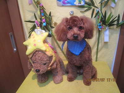 ファイル 7591-1.jpg