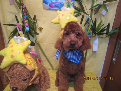 ファイル 7591-2.jpg