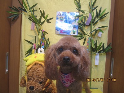 ファイル 7592-2.jpg