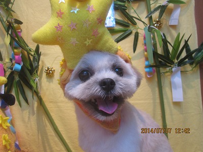 ファイル 7593-1.jpg