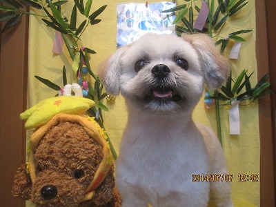 ファイル 7593-2.jpg