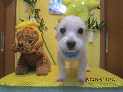 ファイル 7594-2.jpg