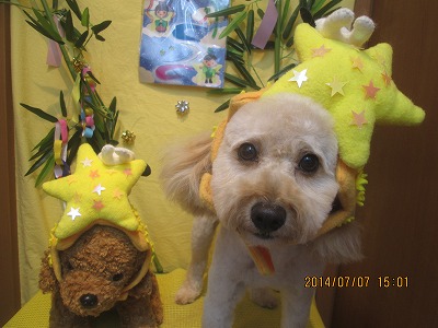 ファイル 7595-1.jpg