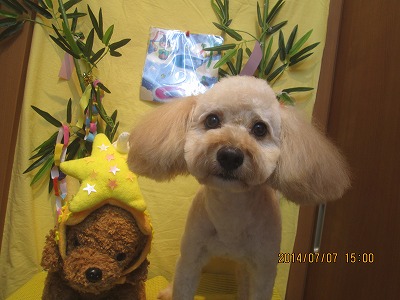 ファイル 7595-2.jpg