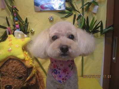 ファイル 7596-2.jpg