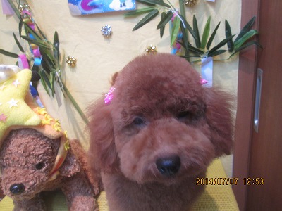 ファイル 7596-3.jpg